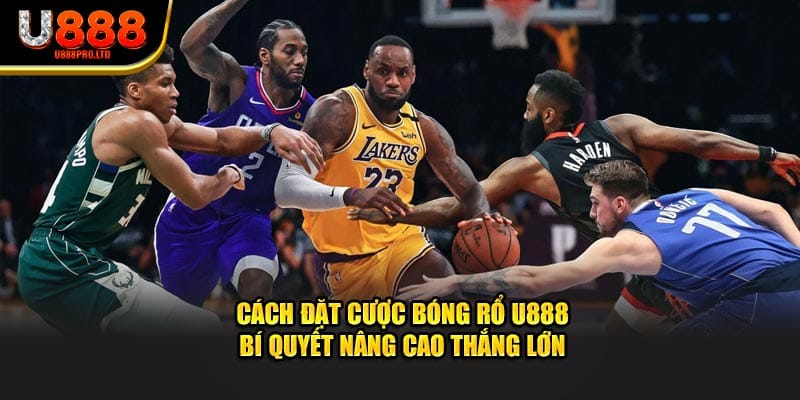 cach-dat-cuoc-bong-ro-u888